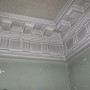 Existing Plaster Crown Molding